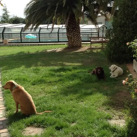 Mas Saint Bernard Frühstückspension Perpignan